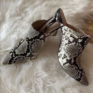 Aldo Snake Print Mule 8